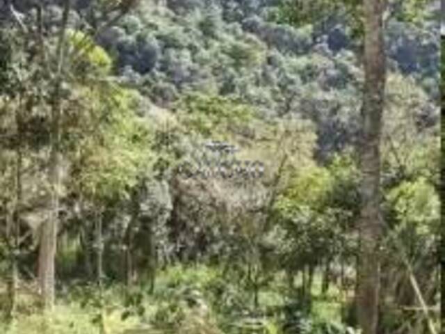 Área para Venda em Petrópolis - 5